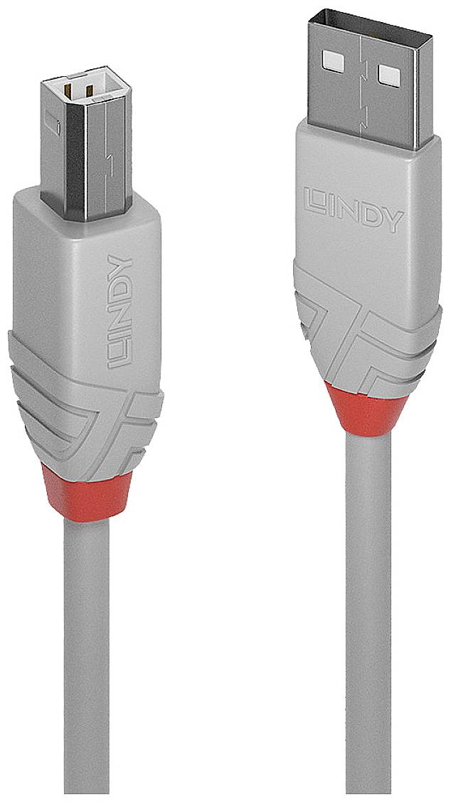 Câble USB gris avec une fiche standard et une fiche mini-USB, toutes deux portant le logo Lindy et des renforts rouges.