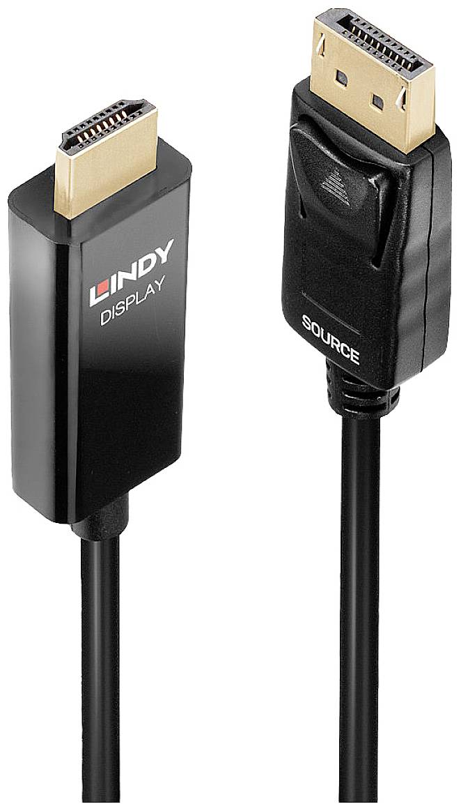 Deux connecteurs, à gauche une fiche HDMI portant l'inscription « LINDY DISPLAY », à droite une fiche DisplayPort portant l'inscription « SOURCE ».