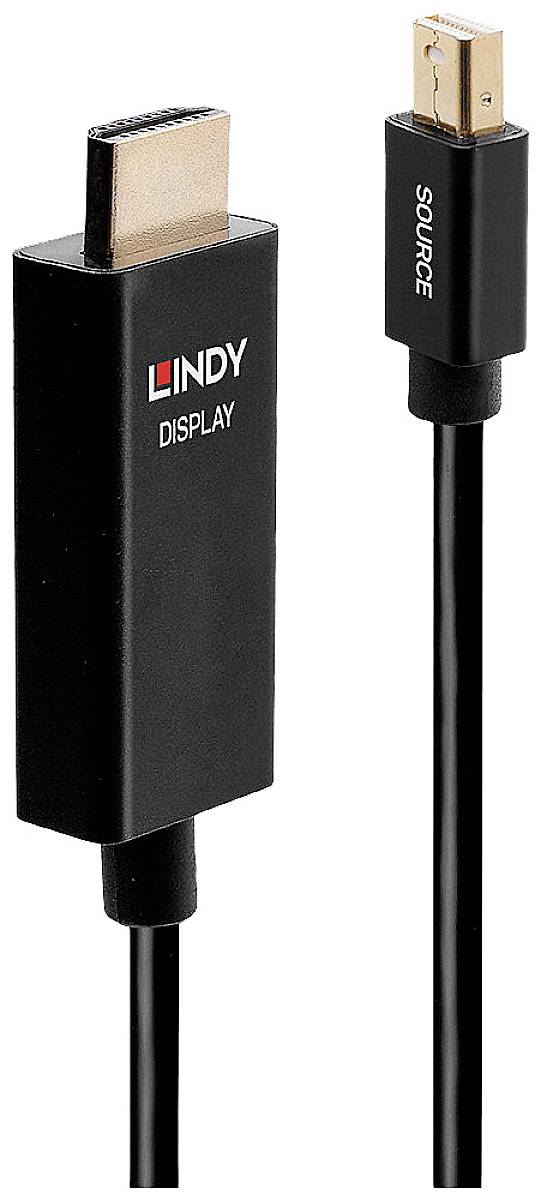 Un câble noir avec deux fiches : à gauche, une fiche HDMI portant l'inscription « DISPLAY », à droite, une fiche Mini-DisplayPort portant l'inscription « SOURCE ».