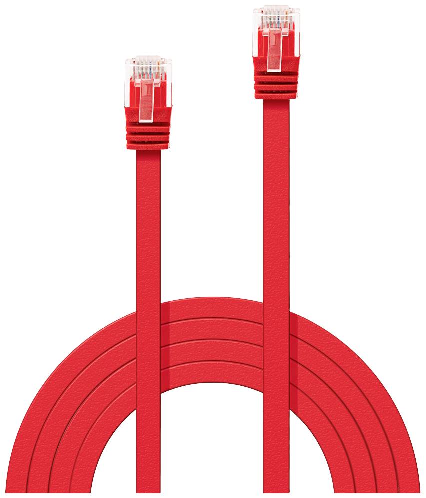 Deux câbles Ethernet rouges munis de connecteurs RJ45, courbés en arc, symbolisent les connexions réseau et la communication.