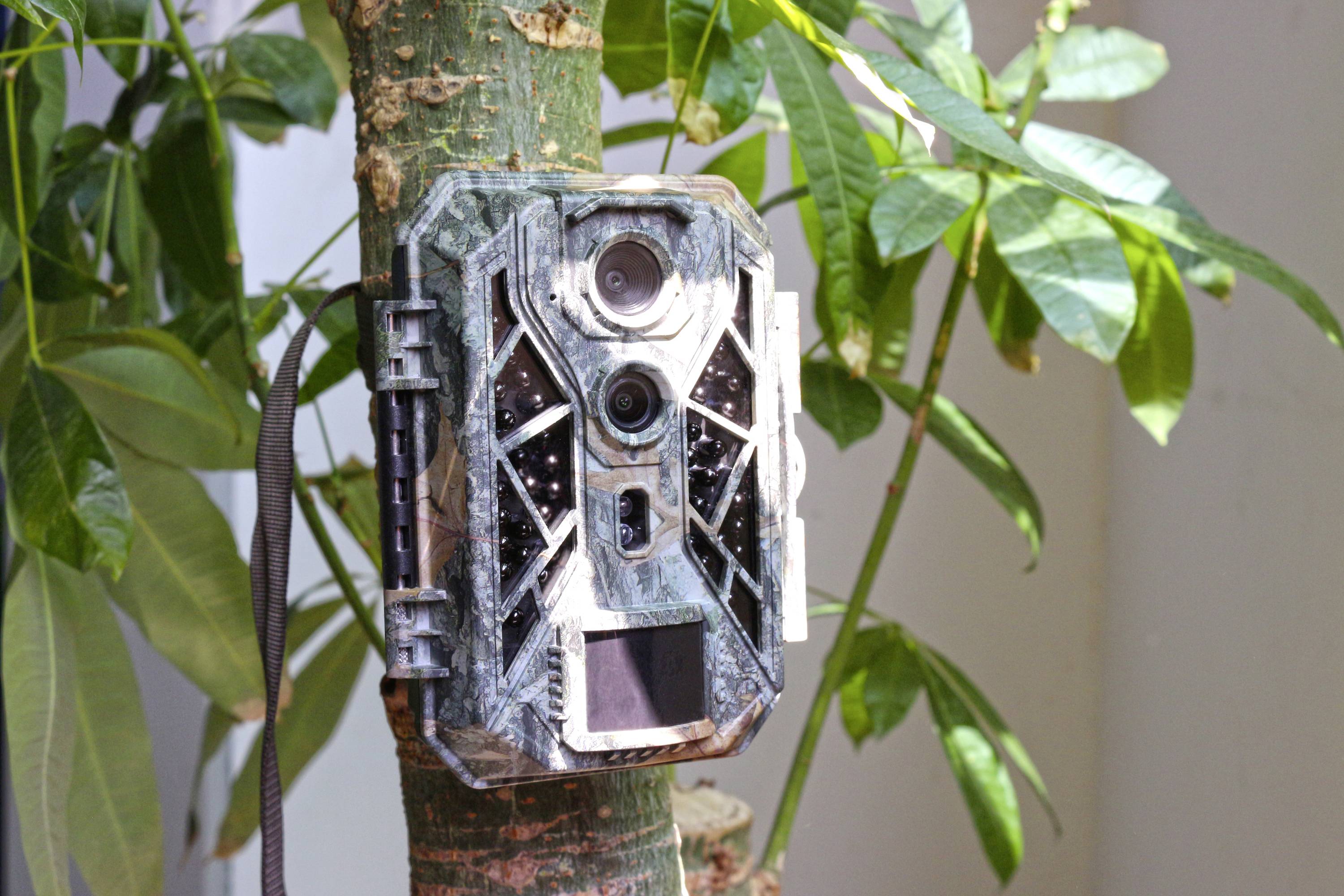 Caméra de chasse Braun Phototechnik Black 820 32 Mill. pixel fonction time-lapse, enregistrement sonore camouflage