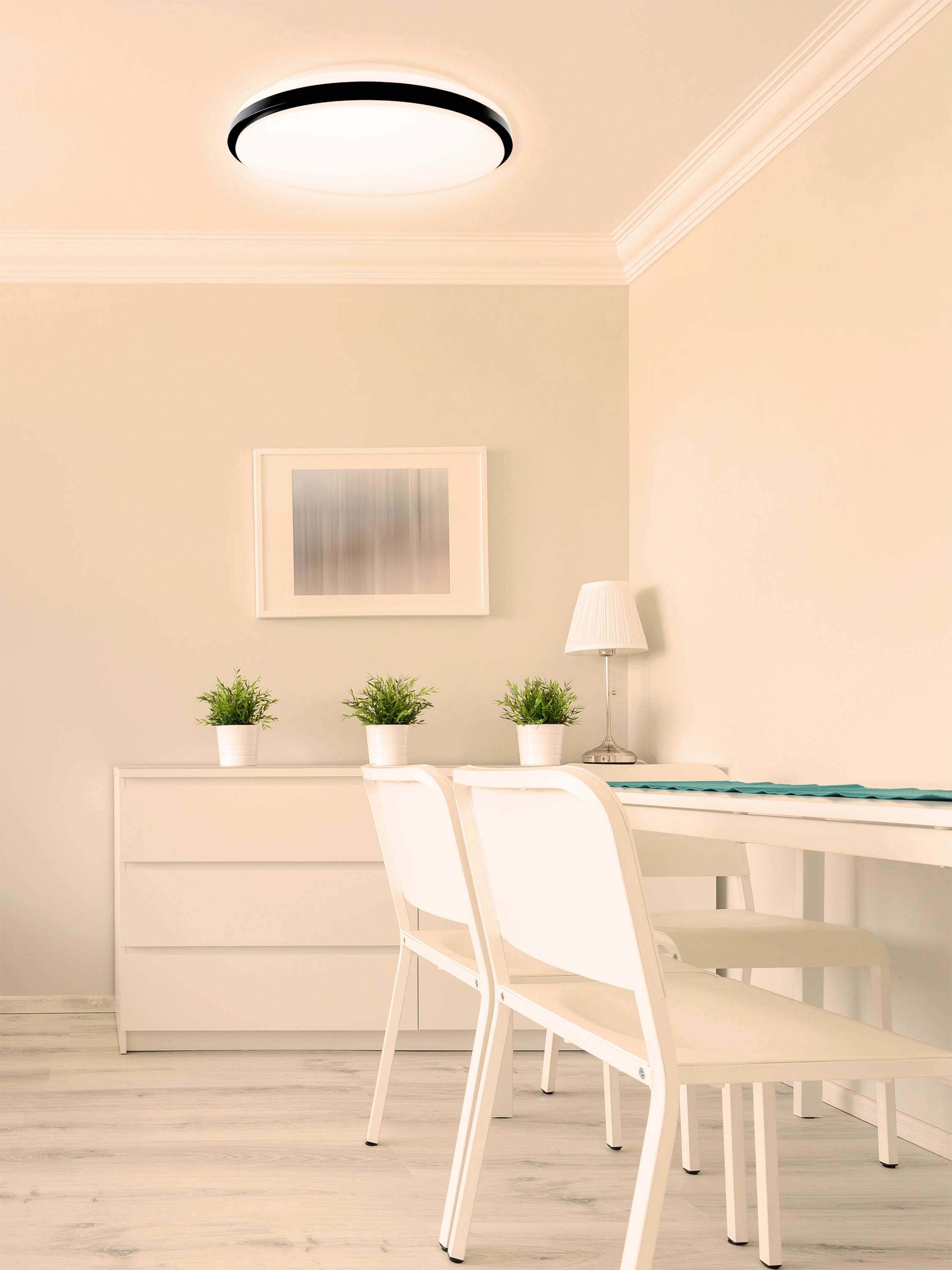 Müller-Licht 21000071 Taro Round 40 Plafonnier LED 24 W blanc, noir