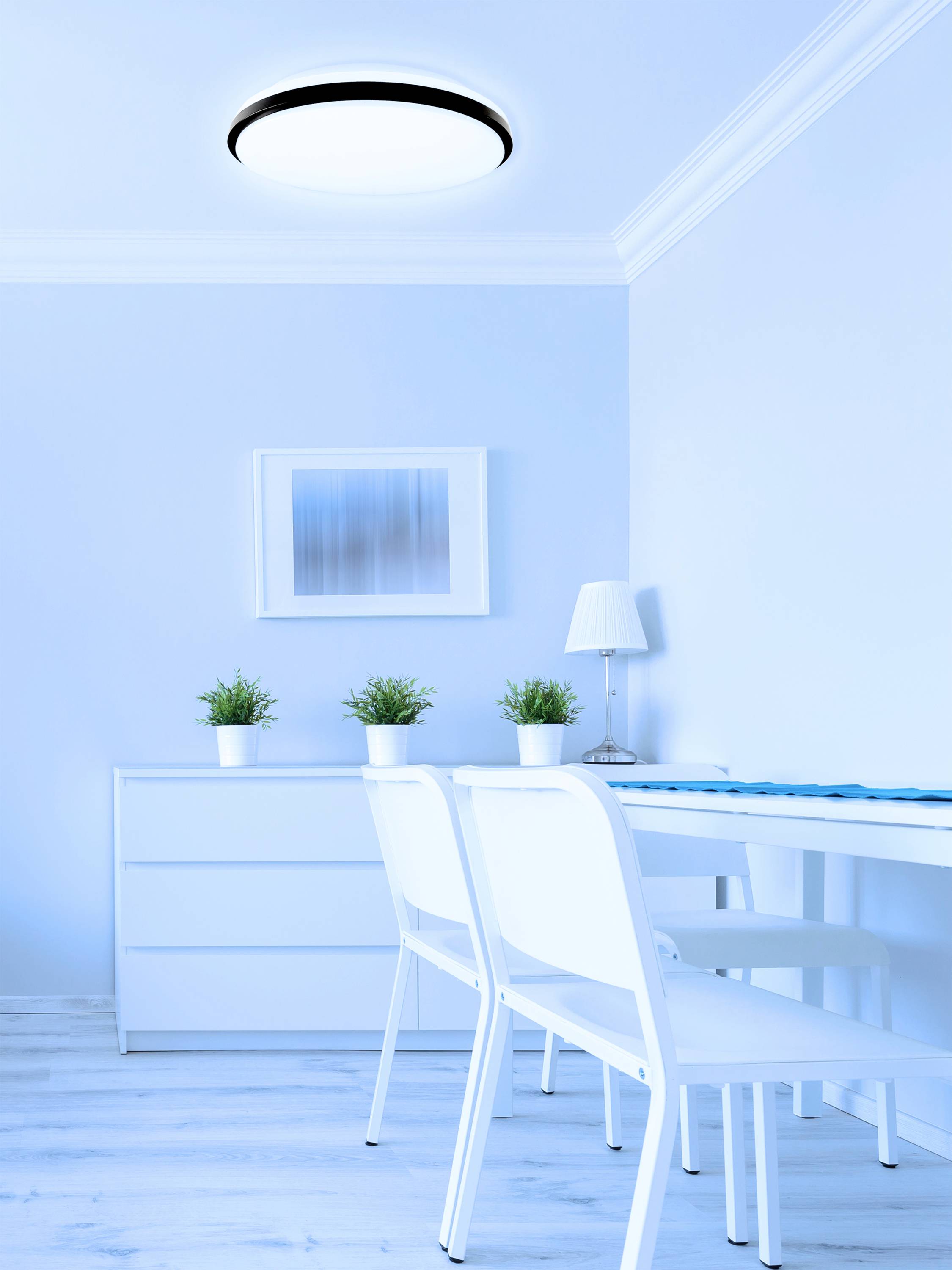 Müller-Licht 21000071 Taro Round 40 Plafonnier LED 24 W blanc, noir