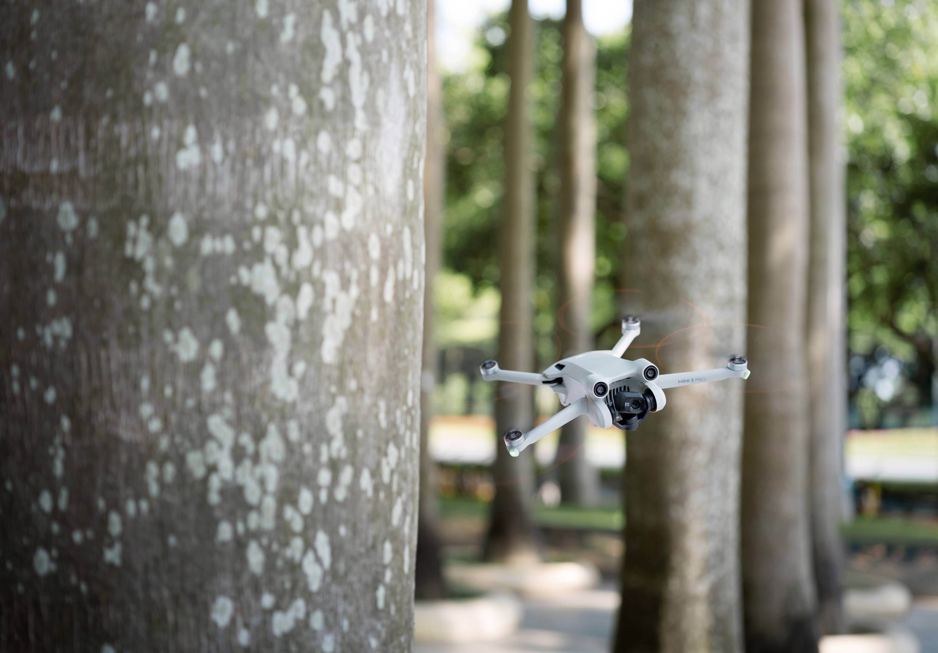 DJI Mini 3 Pro avec Smart Controller Drone quadricoptère prêt à voler (RtF) prises de vue aériennes gris clair