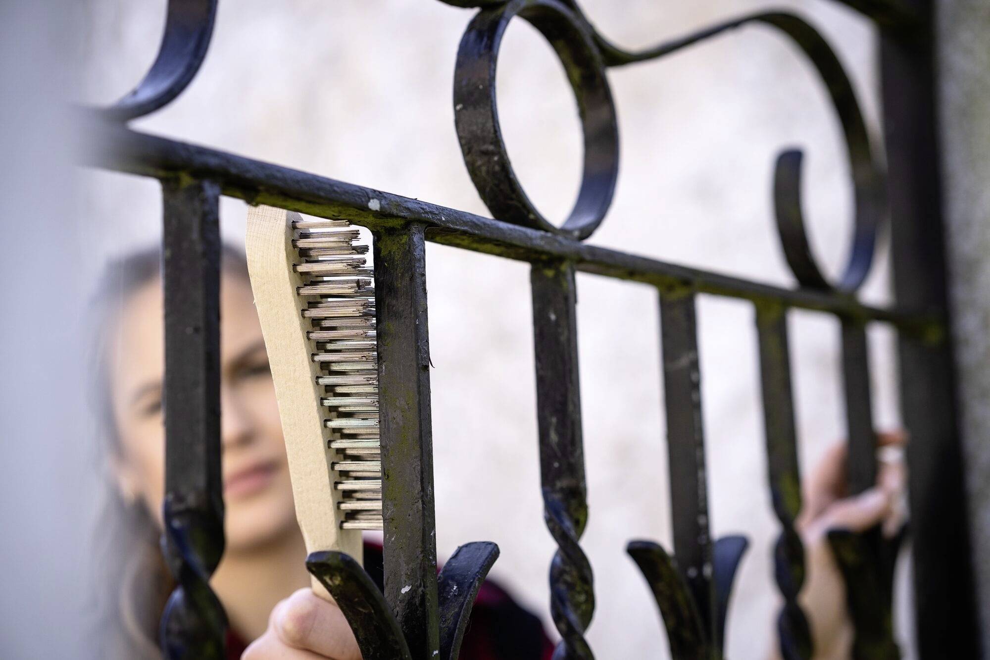 Vigor V6809-4 Brosse métallique 1 pc(s)