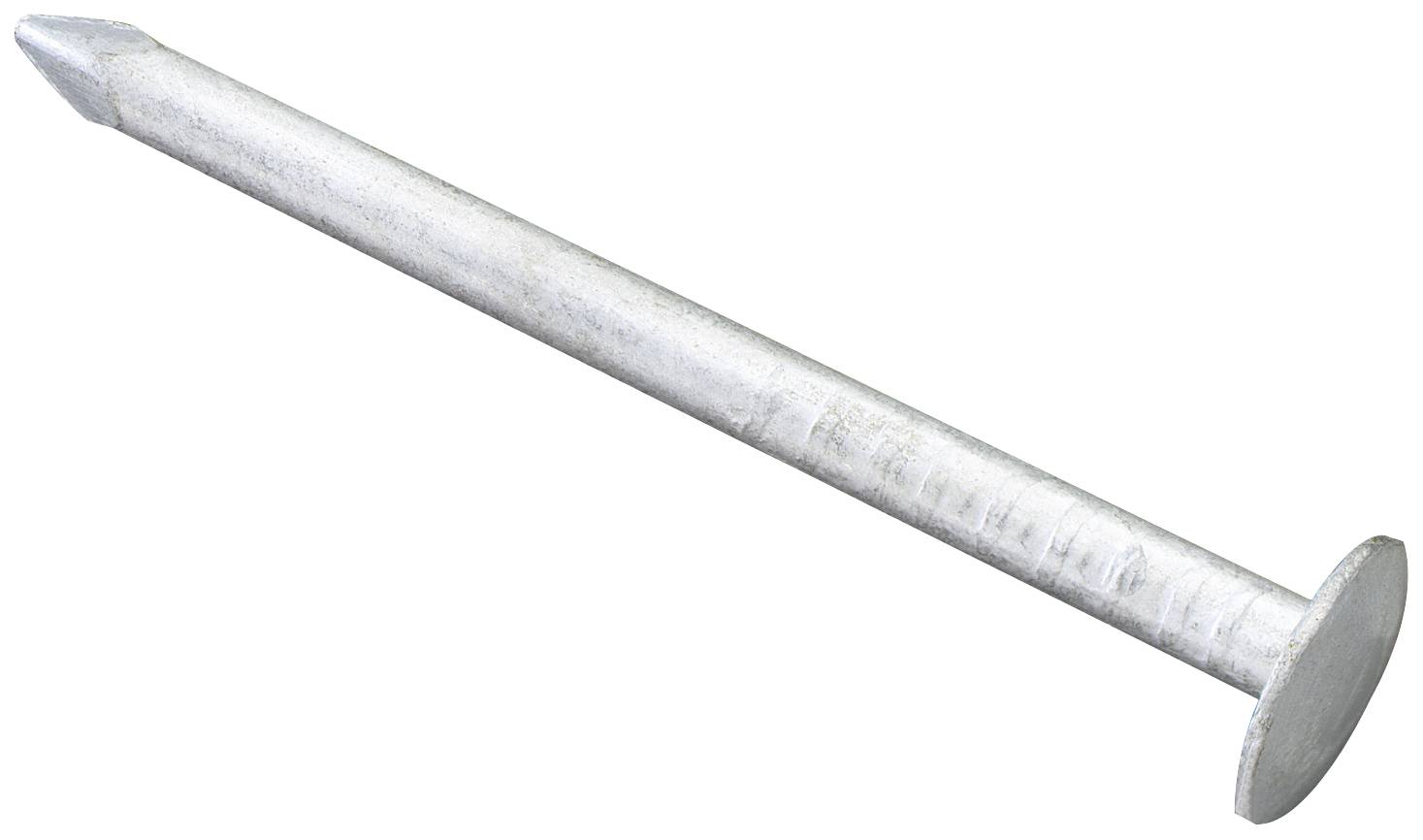 Un clou argenté unique à tête plate et extrémité pointue repose diagonalement sur un fond blanc.