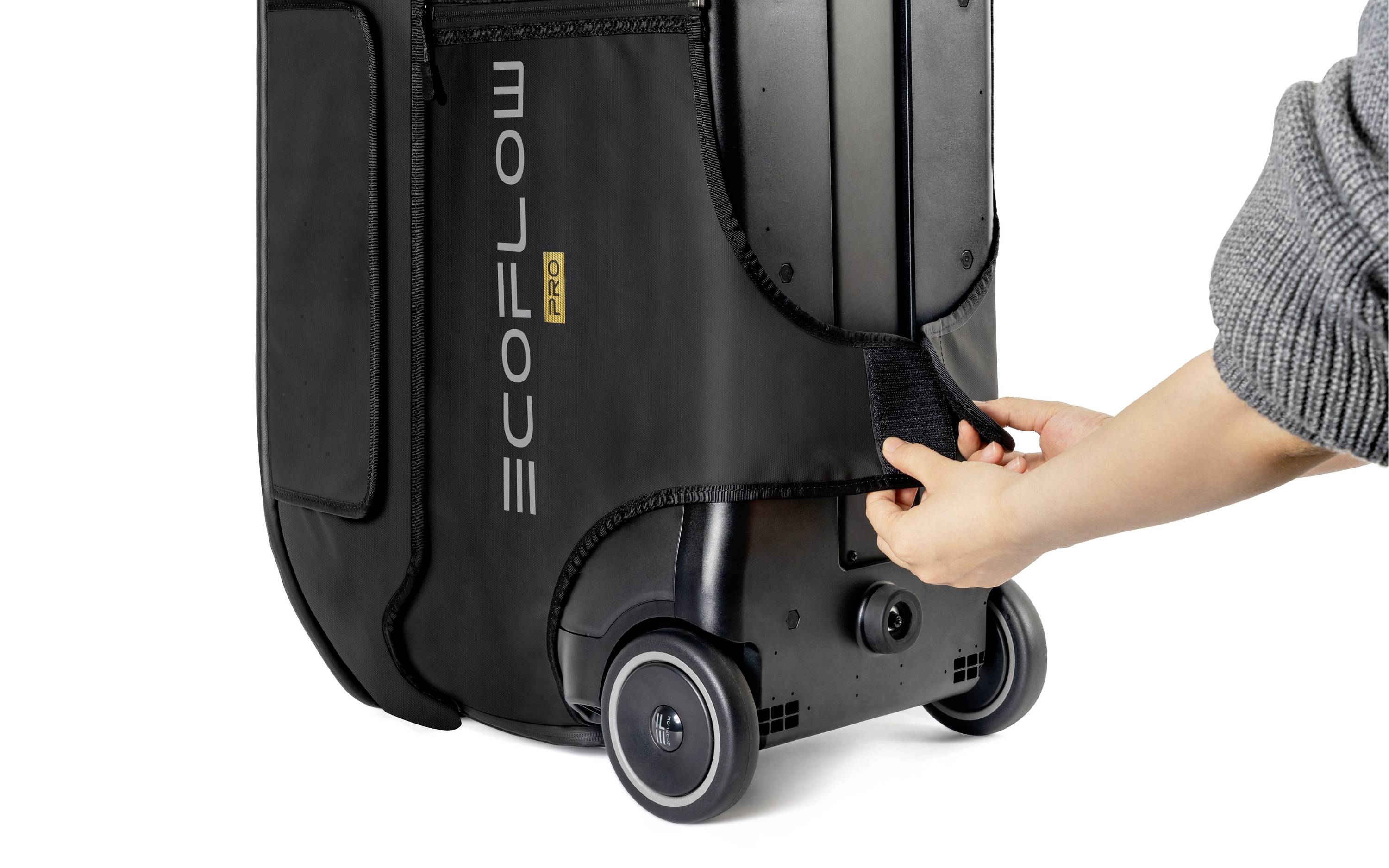 Sac Ecoflow Delta Pro