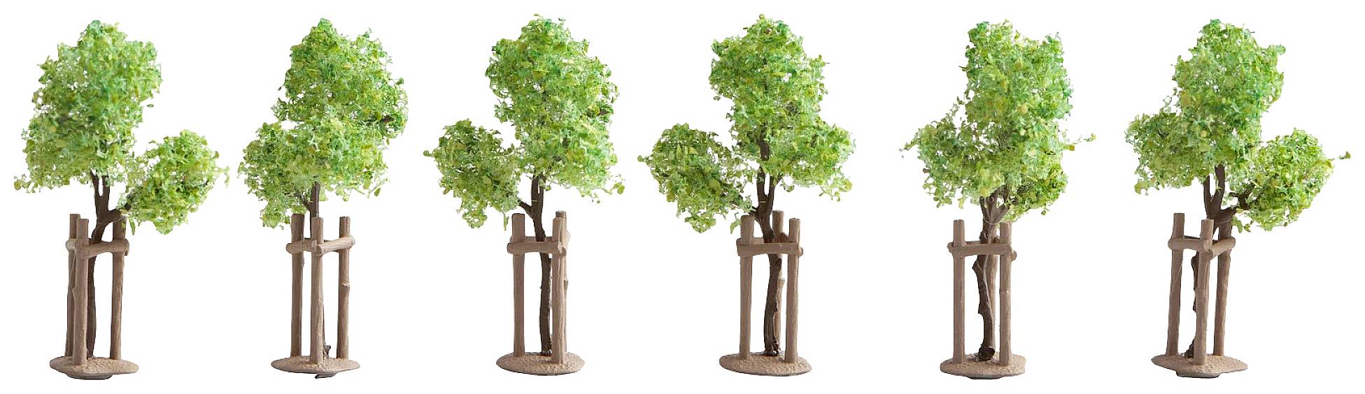 Six arbres modèles aux feuillages verts et aux troncs bruns sont alignés sur un fond clair.