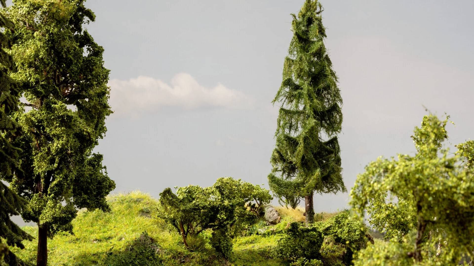 NOCH 21775 Arbre 170 mm 1 pc(s)