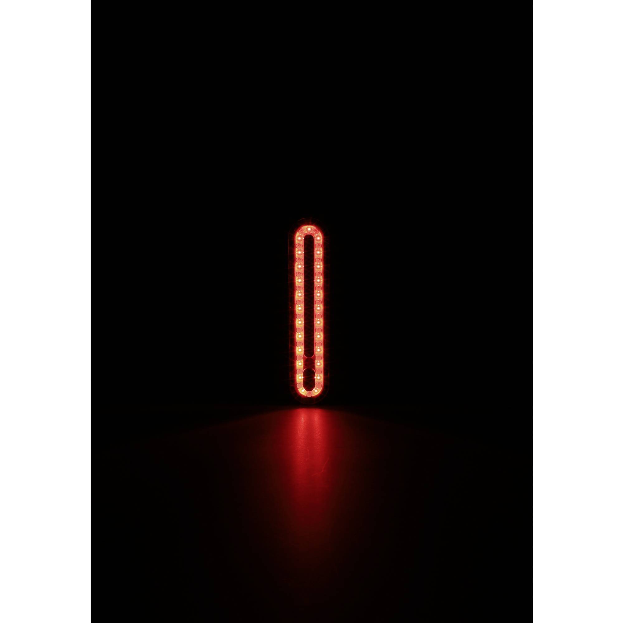 FISCHER FAHRRAD Feu arrière de vélo LED à batterie noir