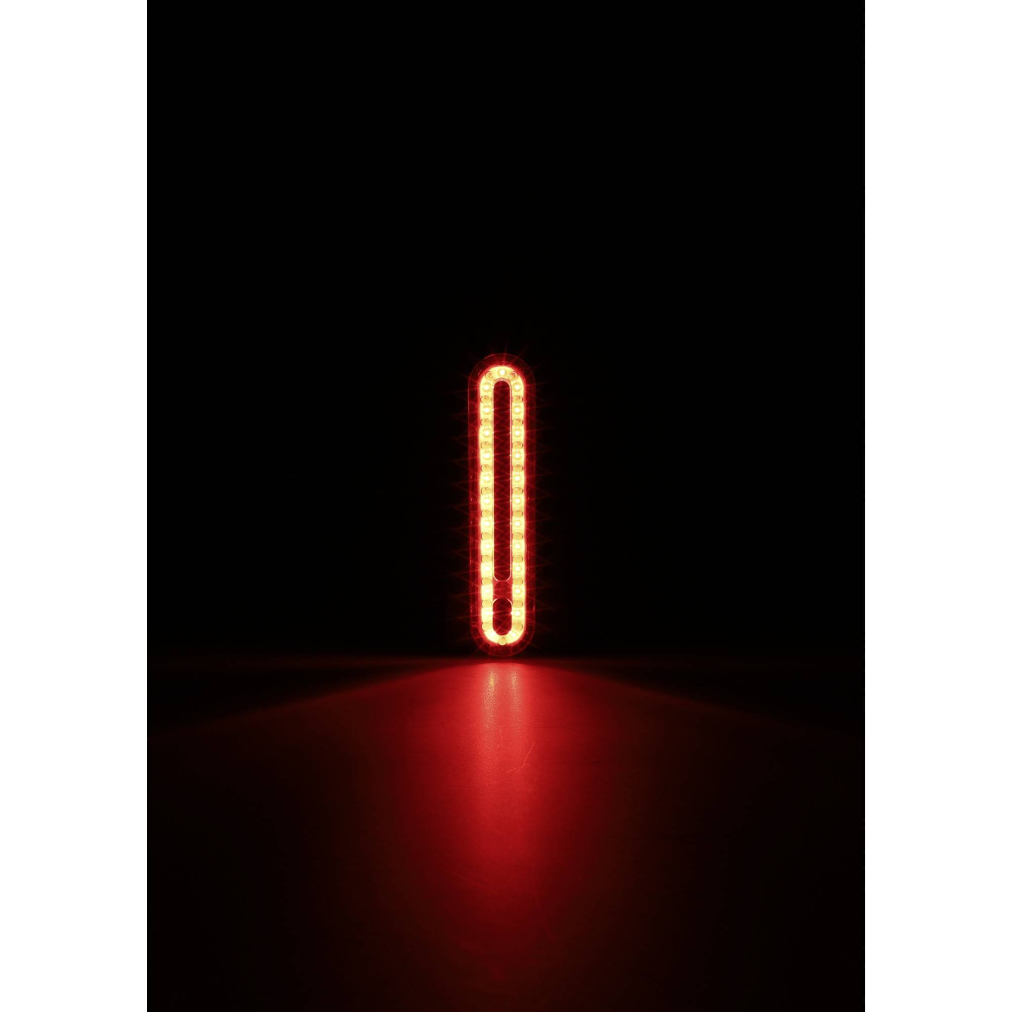 FISCHER FAHRRAD Feu arrière de vélo LED à batterie noir