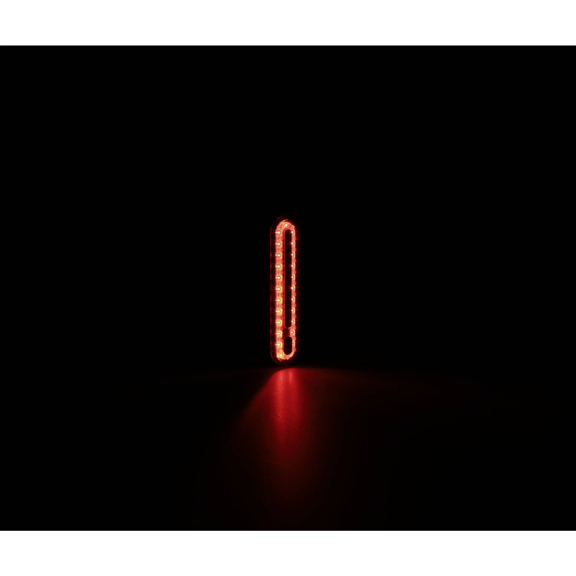 FISCHER FAHRRAD Feu arrière de vélo LED à batterie noir