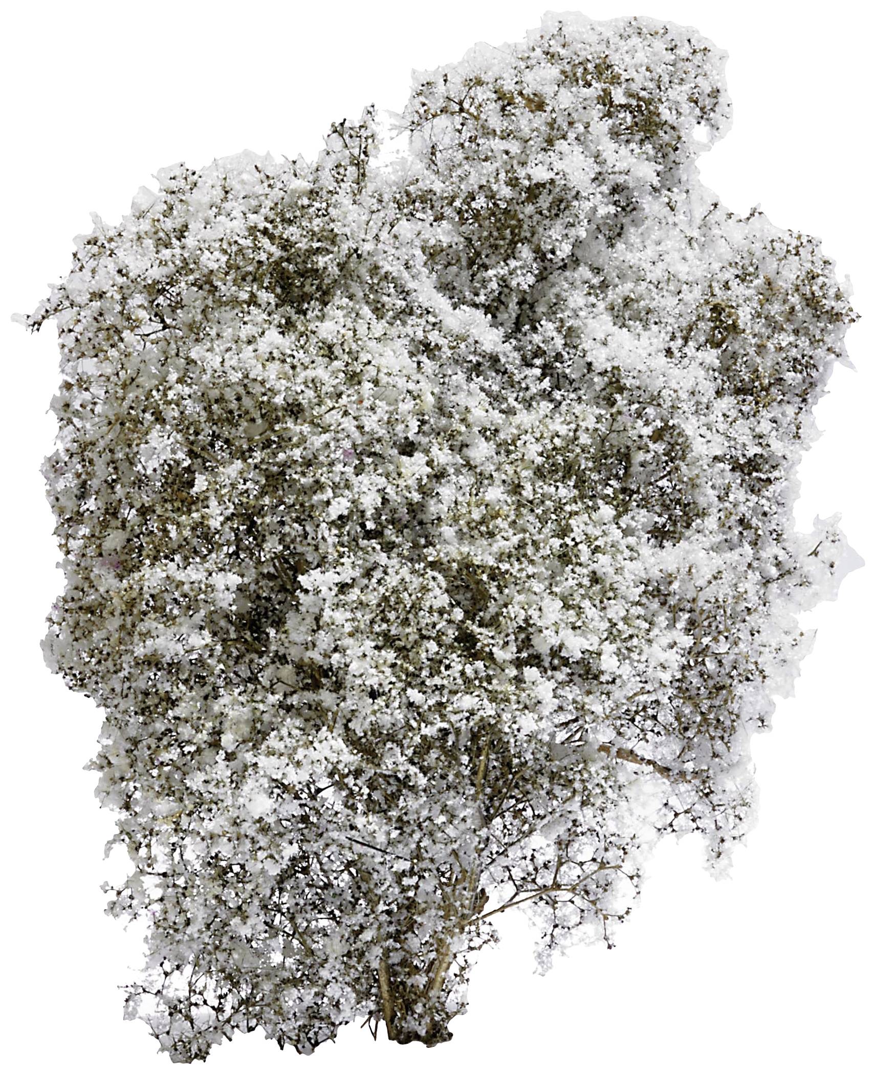 Busch 3585 Buisson printemps blanc, fleuri(e)