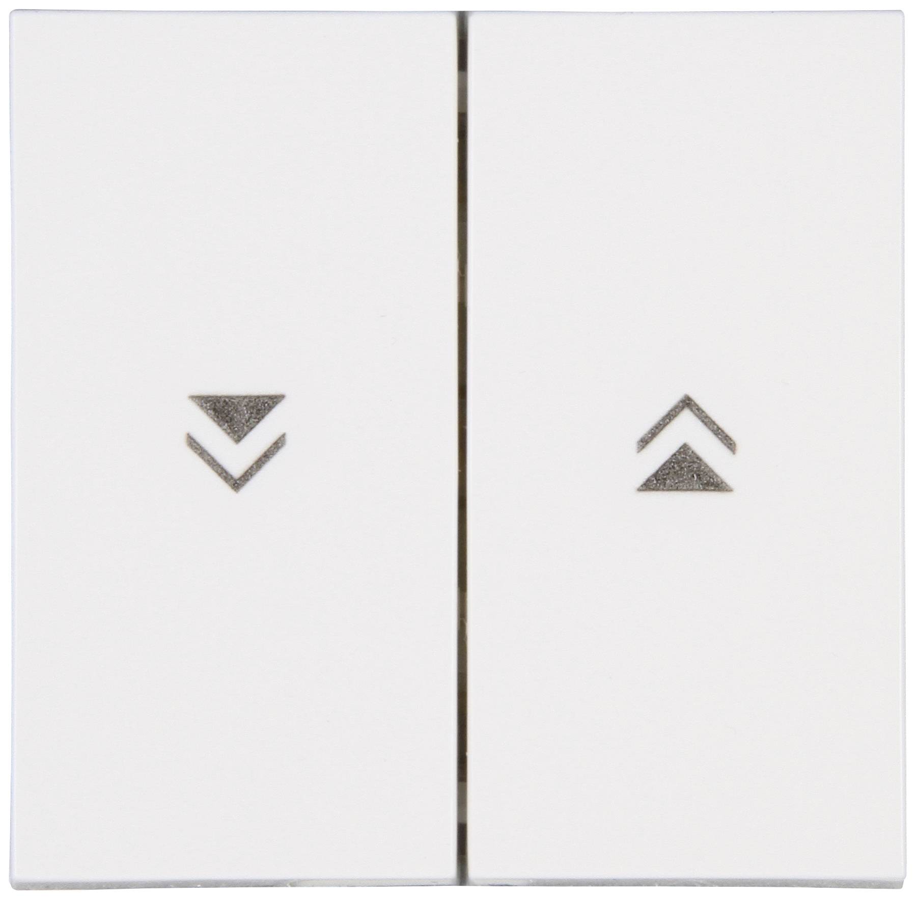 Blue-Control Interrupteur à bascule double RAL 9010 (satiné)