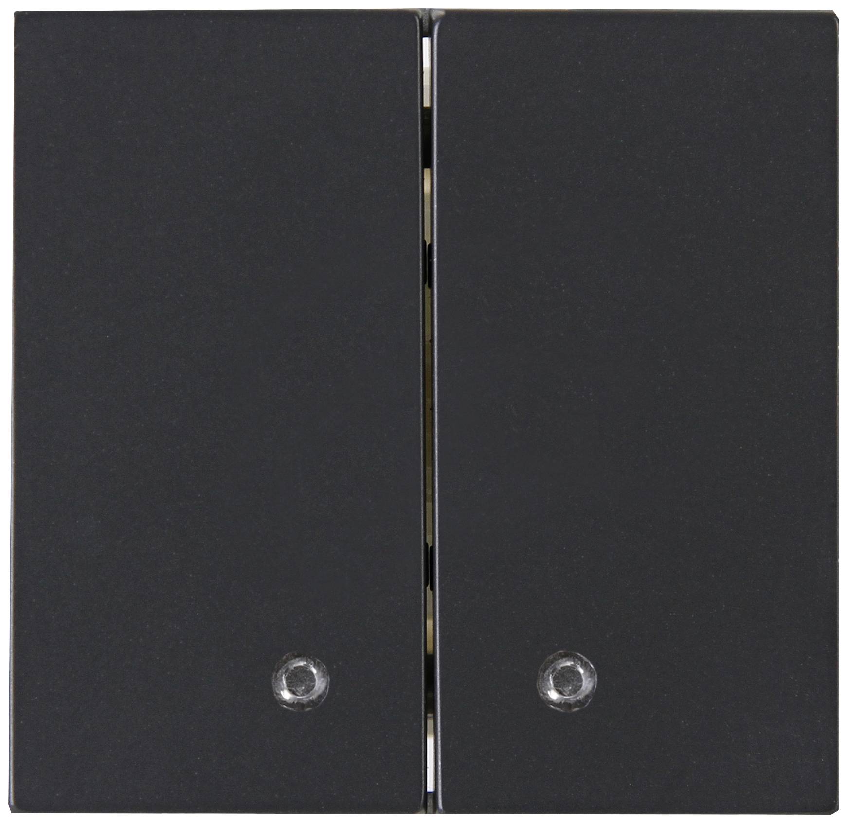 Blue-Control Interrupteur à bascule double anthracite