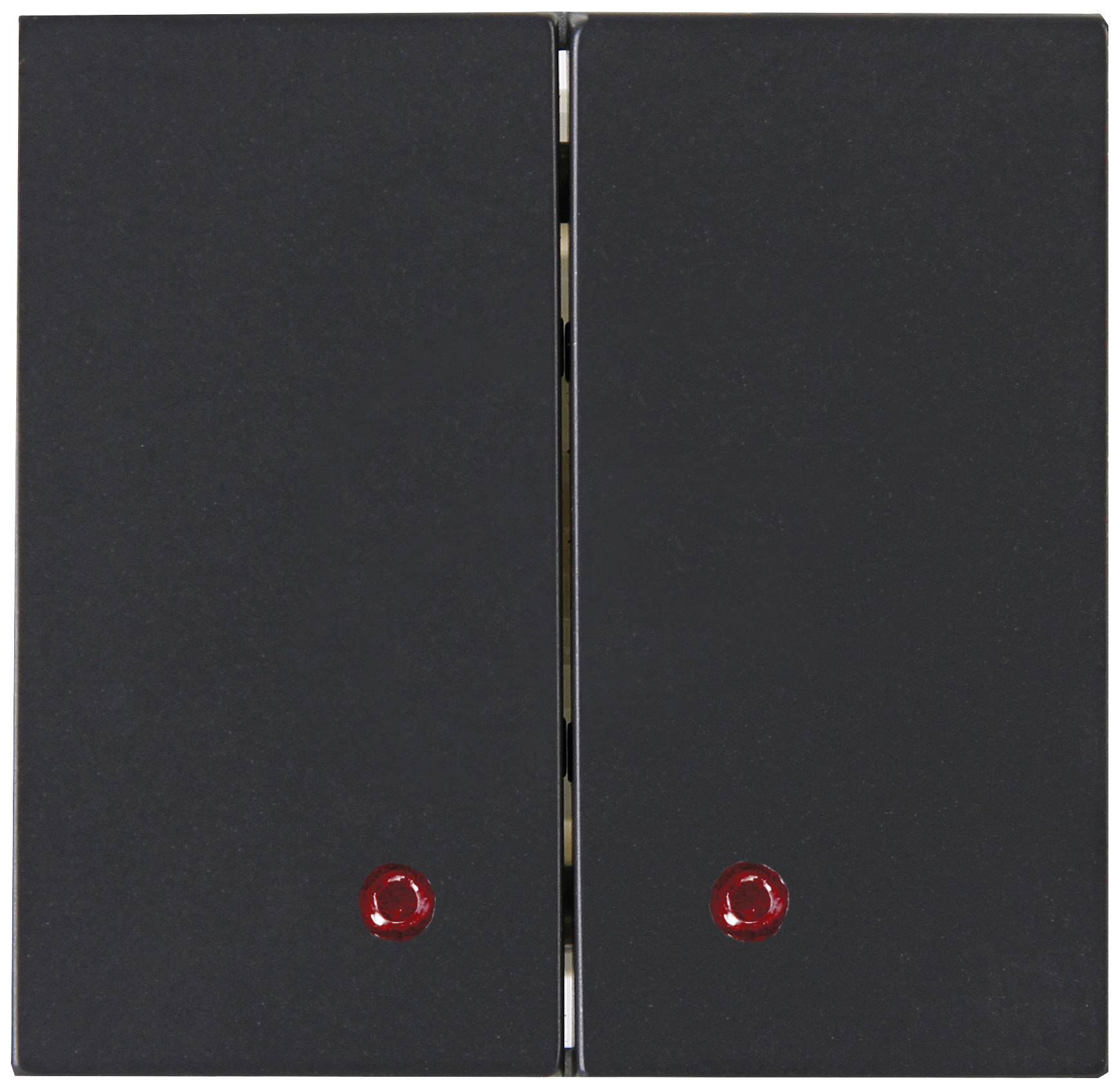 Blue-Control Interrupteur à bascule double anthracite