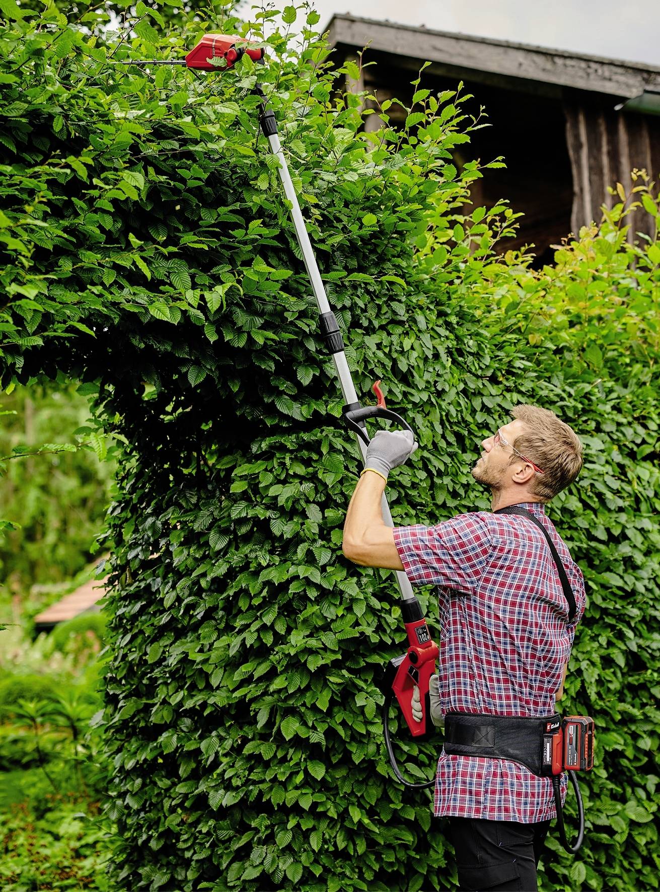 Un homme en chemise à carreaux et gants de travail taille une haie haute avec un taille-haie. Un bâtiment en bois est visible en arrière-plan.