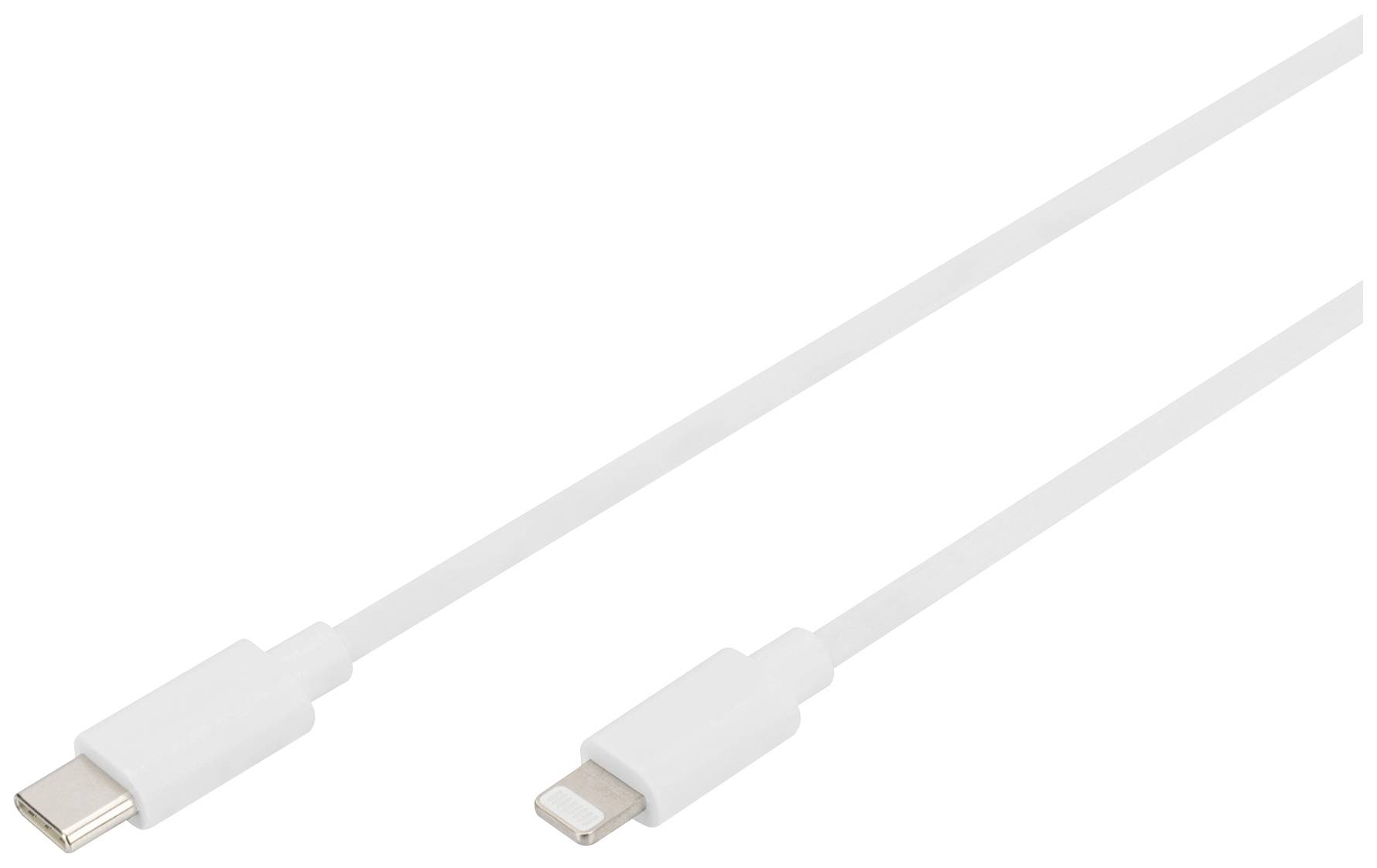 Un câble blanc avec des connecteurs USB-C et Lightning aux extrémités. Adapté pour charger et transférer des données entre des appareils.
