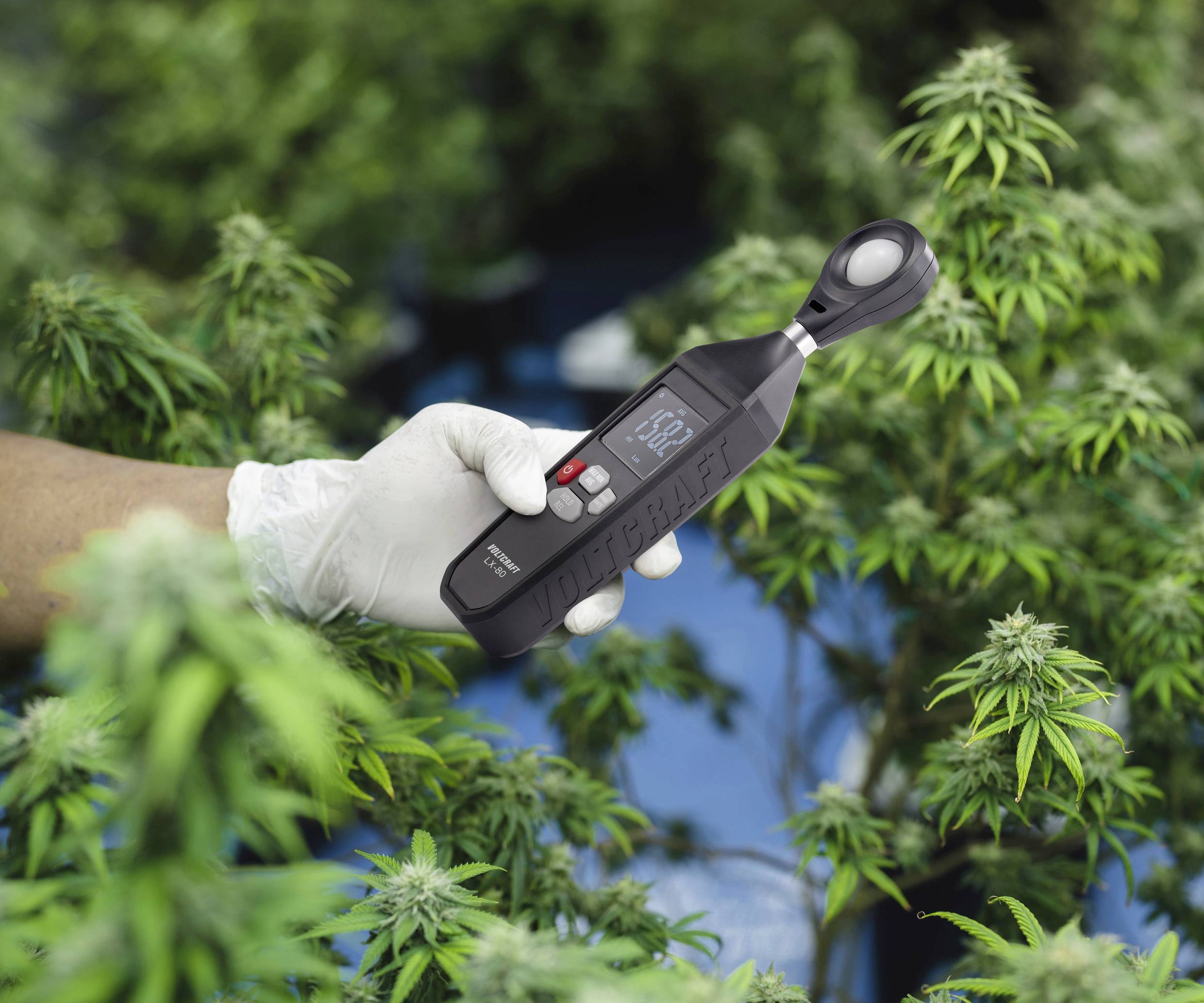 VOLTCRAFT VC-13101385 LX-80 Luxmètre 0.0 - 200000 lx