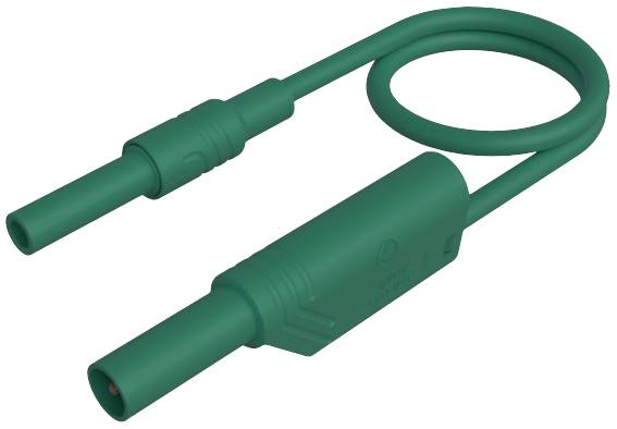 Un câble électrique vert avec une fiche en forme de U d'un côté et une fiche droite de l'autre côté.