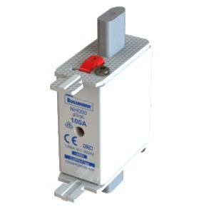 Image d'un dispositif de protection avec l'inscription « NH300 » et « 100A ». L'appareil est conçu pour assurer la sécurité électrique dans le circuit.