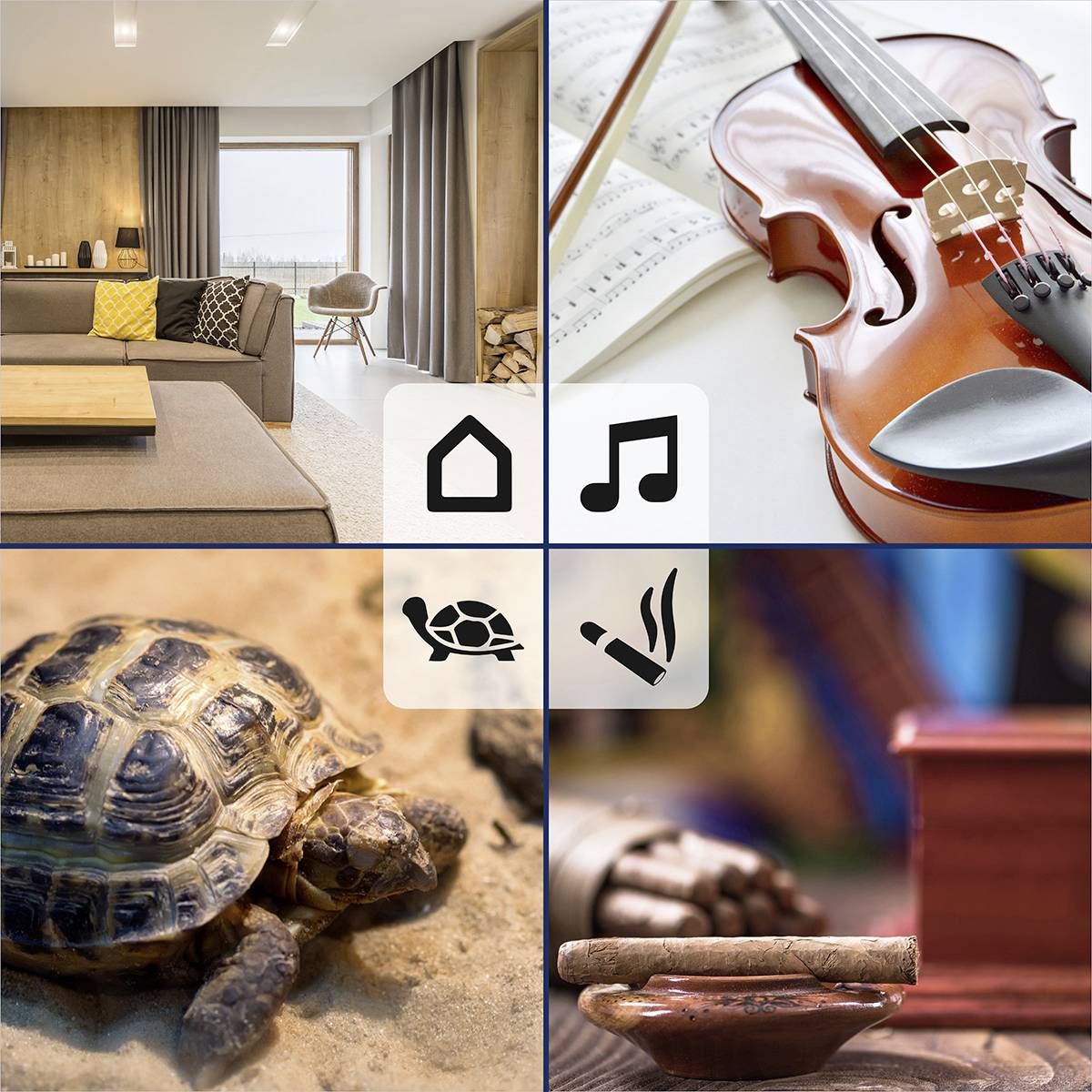 Un salon, un violon sur des partitions, une tortue et un jeu d'échecs représentés en quatre quadrants. Symboles au centre.