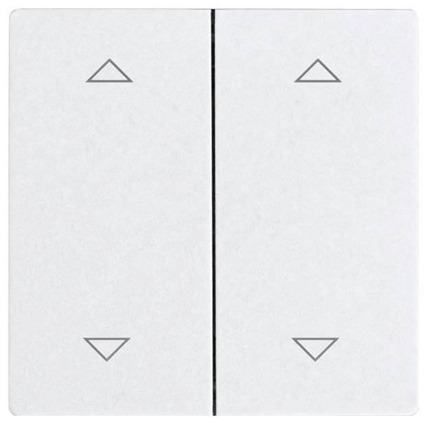 DW-F4T55E-wg+2P Eltako sans fil Interrupteur à bascule double