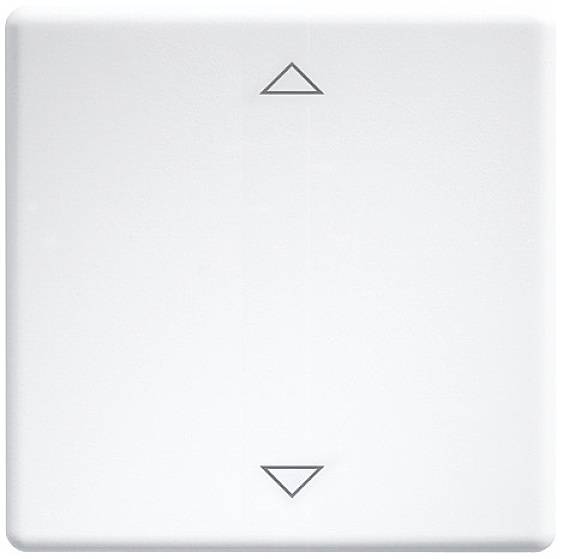 W-FT55-wg+2P Eltako Touches à bascule