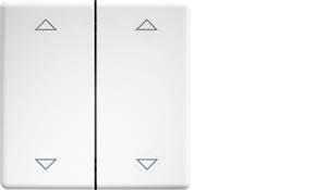 DW-FT55-rw+2P Eltako Interrupteur à bascule double