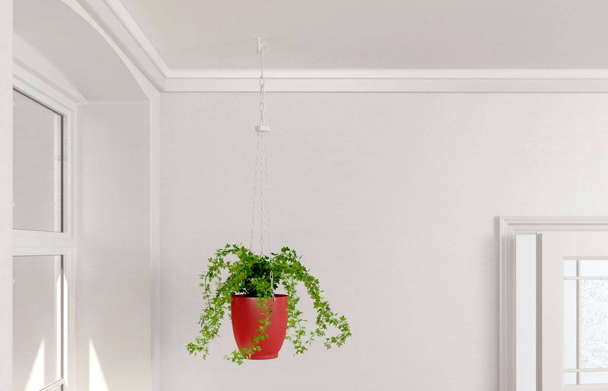 Une plante suspendue dans un pot rouge, dans une pièce lumineuse aux murs blancs et aux fenêtres laissant entrer la lumière naturelle.