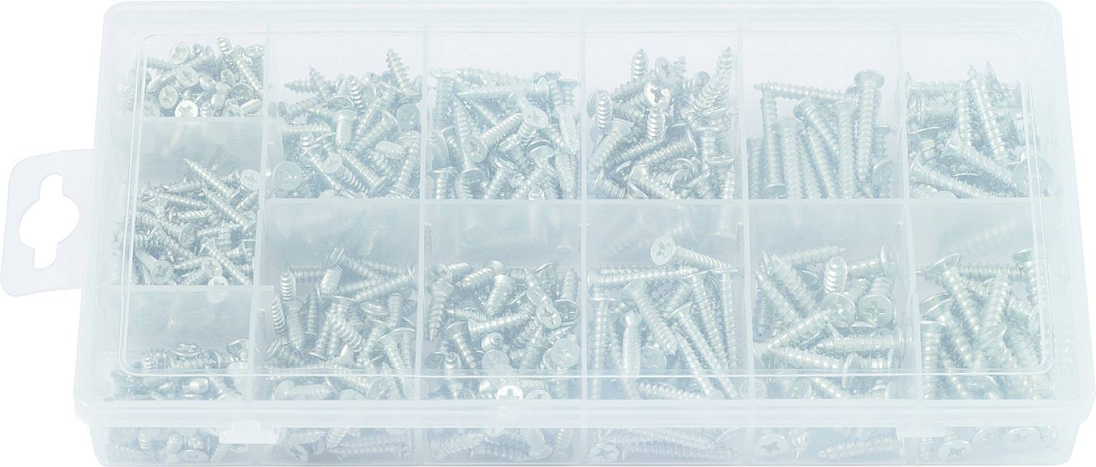 Une boîte transparente à plusieurs compartiments, chacun contenant différentes tailles de vis métalliques.