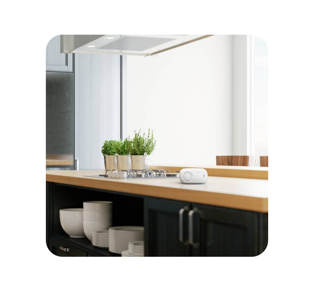 FireAngel FA3313-EUX10 Détecteur de monoxyde de carbone à pile(s) Gaz détecté monoxyde de carbone