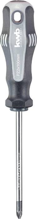 Schraubendr. Pz2x100mm Sb