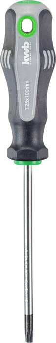 Un tournevis noir avec un accent vert, à tête Torx et poignée ergonomique, marque 'Wera', taille 'TX20x100mm'.