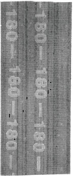 kwb LK-POEV 125KAD-3-SG 851180 Set de grilles abrasives 2 pc(s)