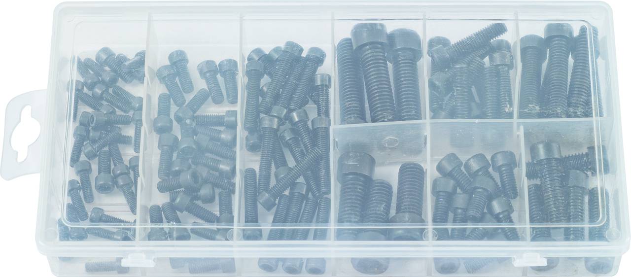 Une boîte en plastique compartimentée contenant différents types et tailles de vis en métal noir.