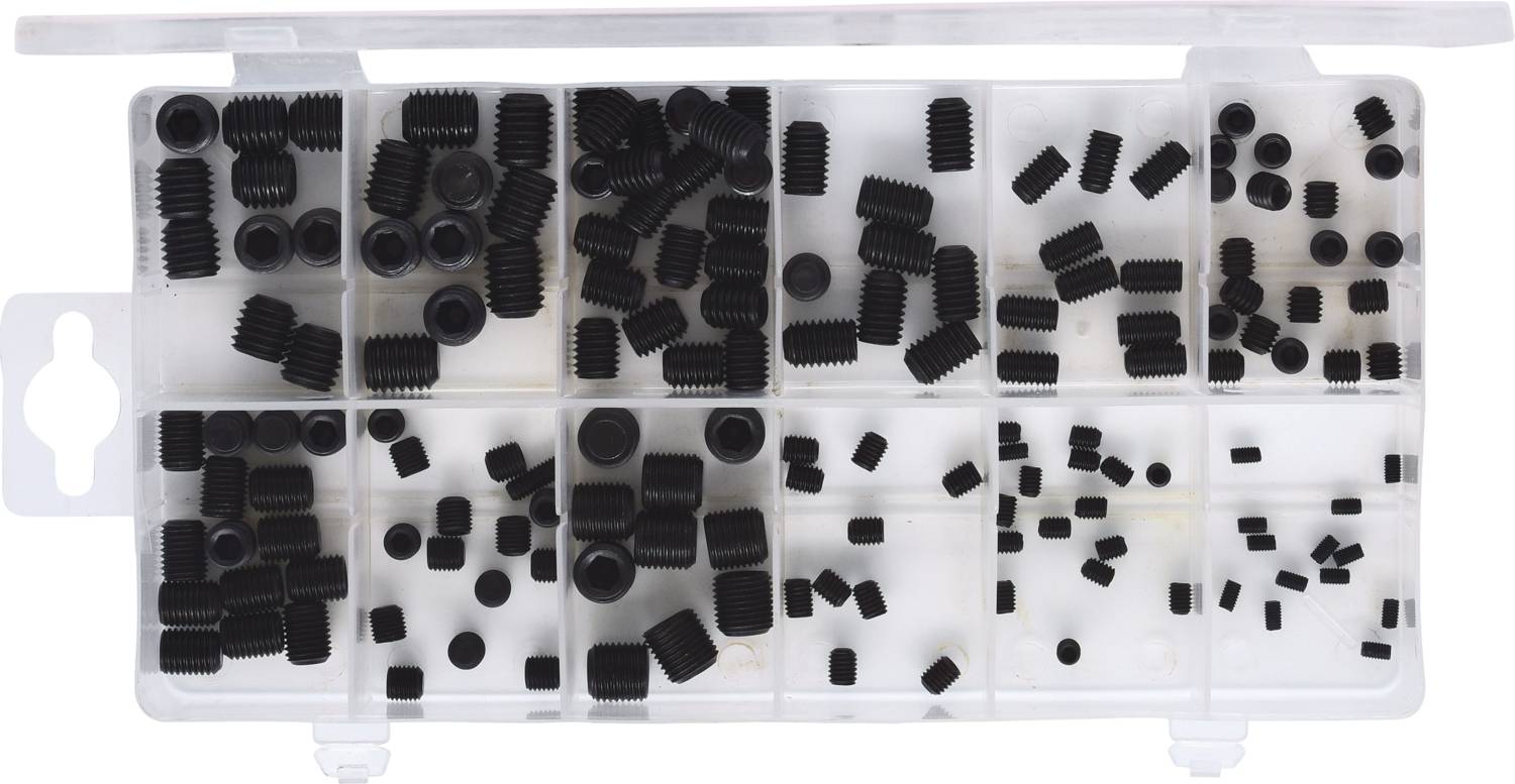 Un bac en plastique transparent contenant plusieurs vis et écrous noirs triés par différentes tailles.