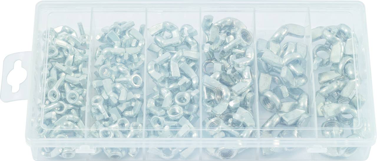 Une boîte en plastique contenant différentes vis et écrous métalliques, répartis dans six compartiments, triés de gauche à droite.