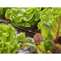 GARDENA Micro-Drip System Pièce en T 4,6 mm (3/16") 13211-20 GARDENA Micro-Drip System Pièce en T 4,6 mm (3/16") 13211-20