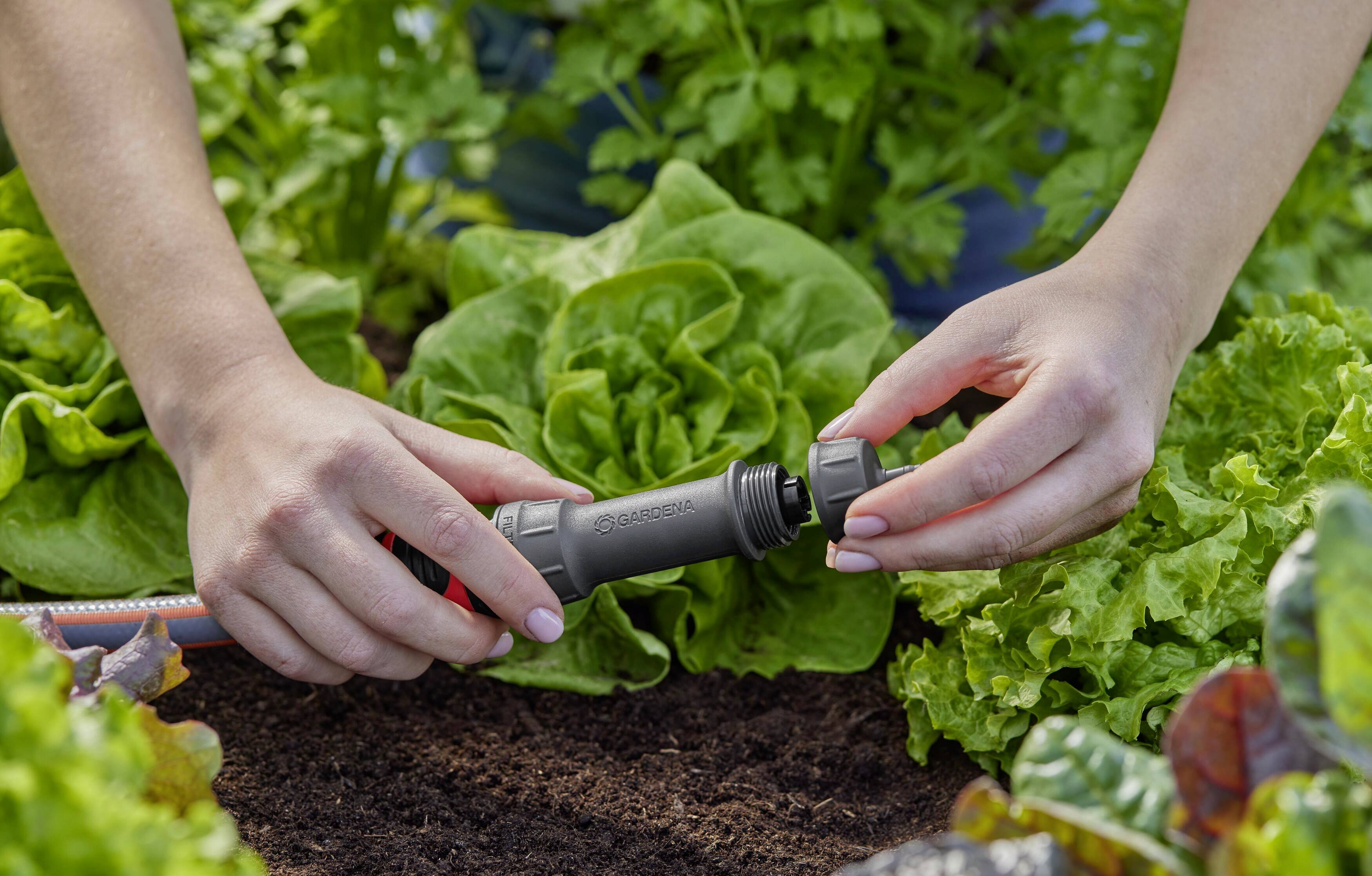 Des mains referment un raccord d'irrigation dans un jardin. Des plants de salade sont visibles en arrière-plan.