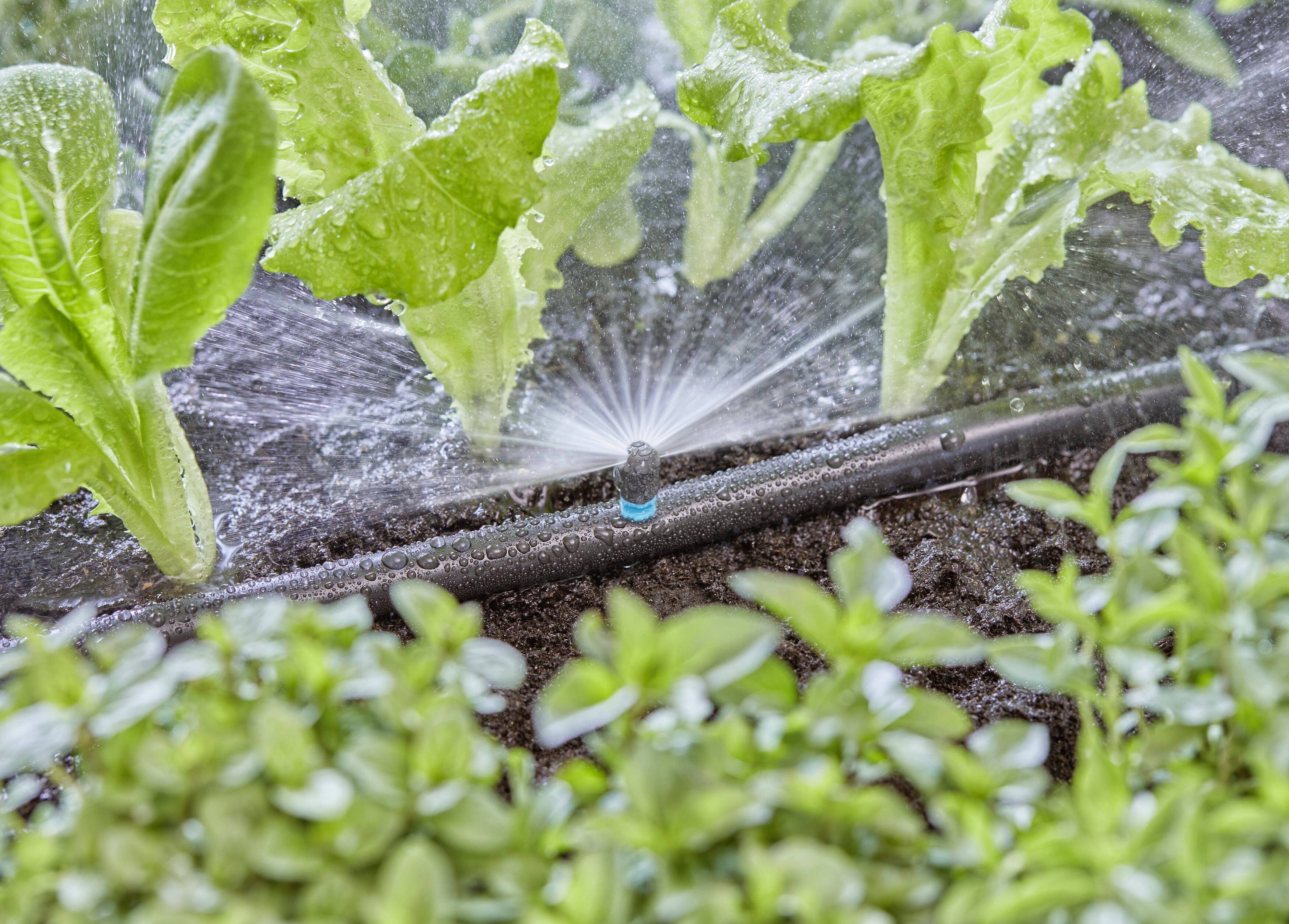 GARDENA Micro-Drip System Buse de pulvérisation Ø 13 mm (1/2") 13321-20