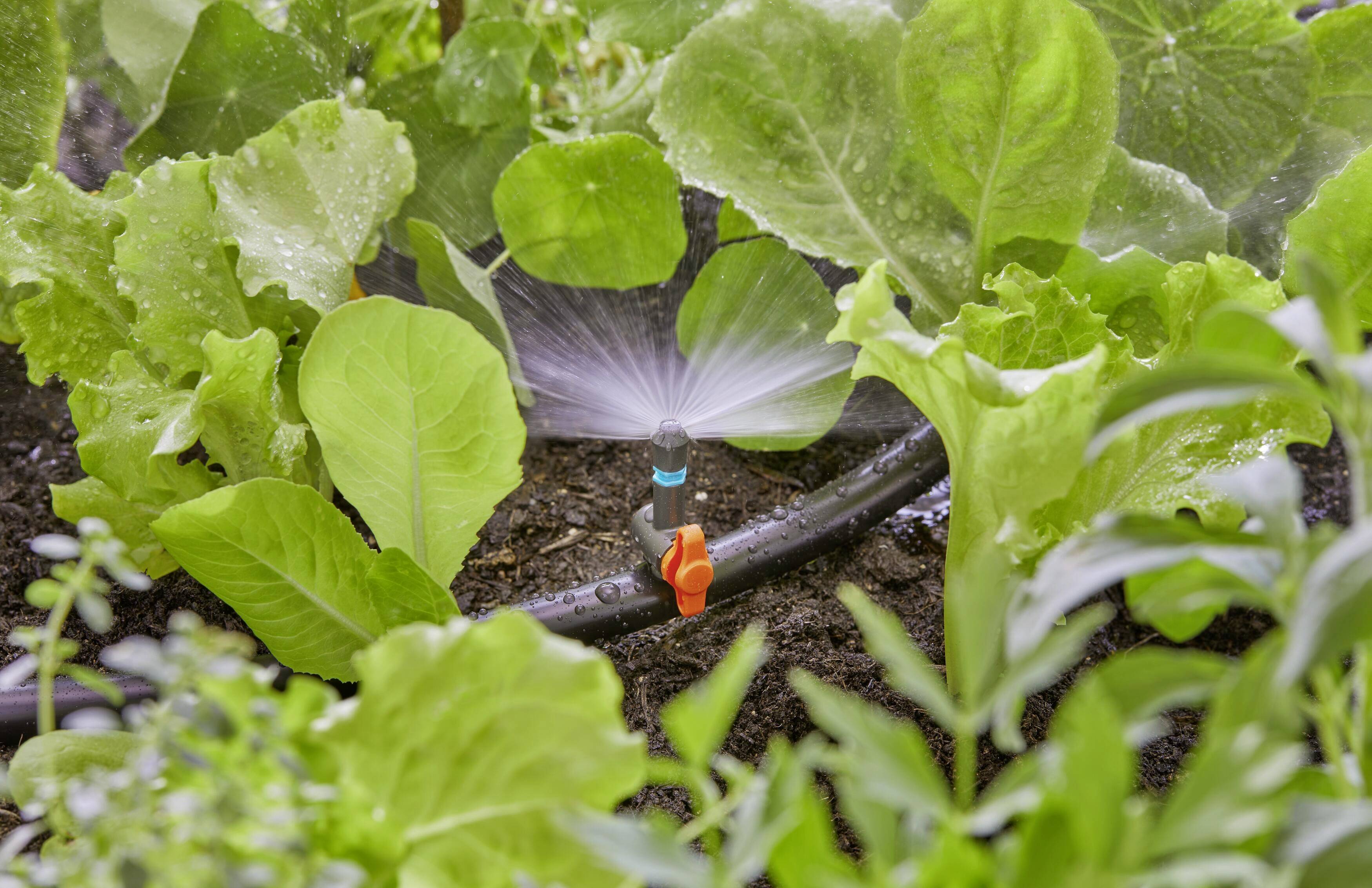 GARDENA Micro-Drip System Buse de pulvérisation Ø 13 mm (1/2") 13321-20