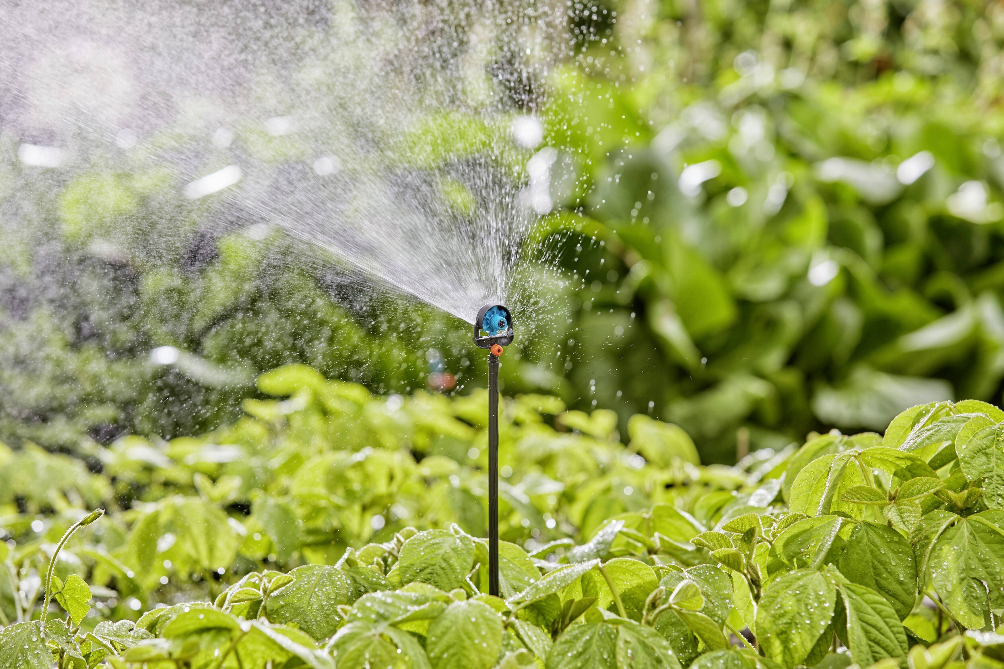 Un système d'irrigation arrose de l'eau sur des plantes vertes dans un jardin. Les plantes sont denses et en bonne santé, entourées de feuilles vertes supplémentaires.