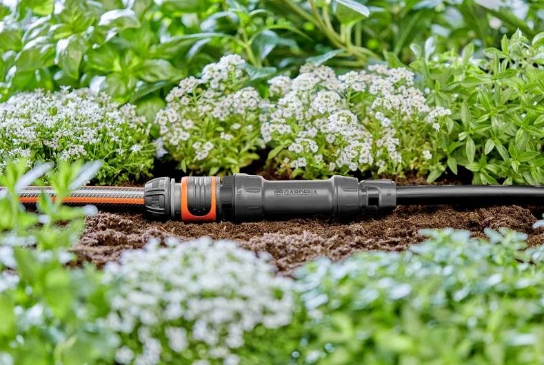 Un connecteur d'irrigation de jardin est fixé à un tuyau d'arrosage, entouré de plantes vertes luxuriantes et de petites fleurs blanches, indiquant un arrosage efficace.