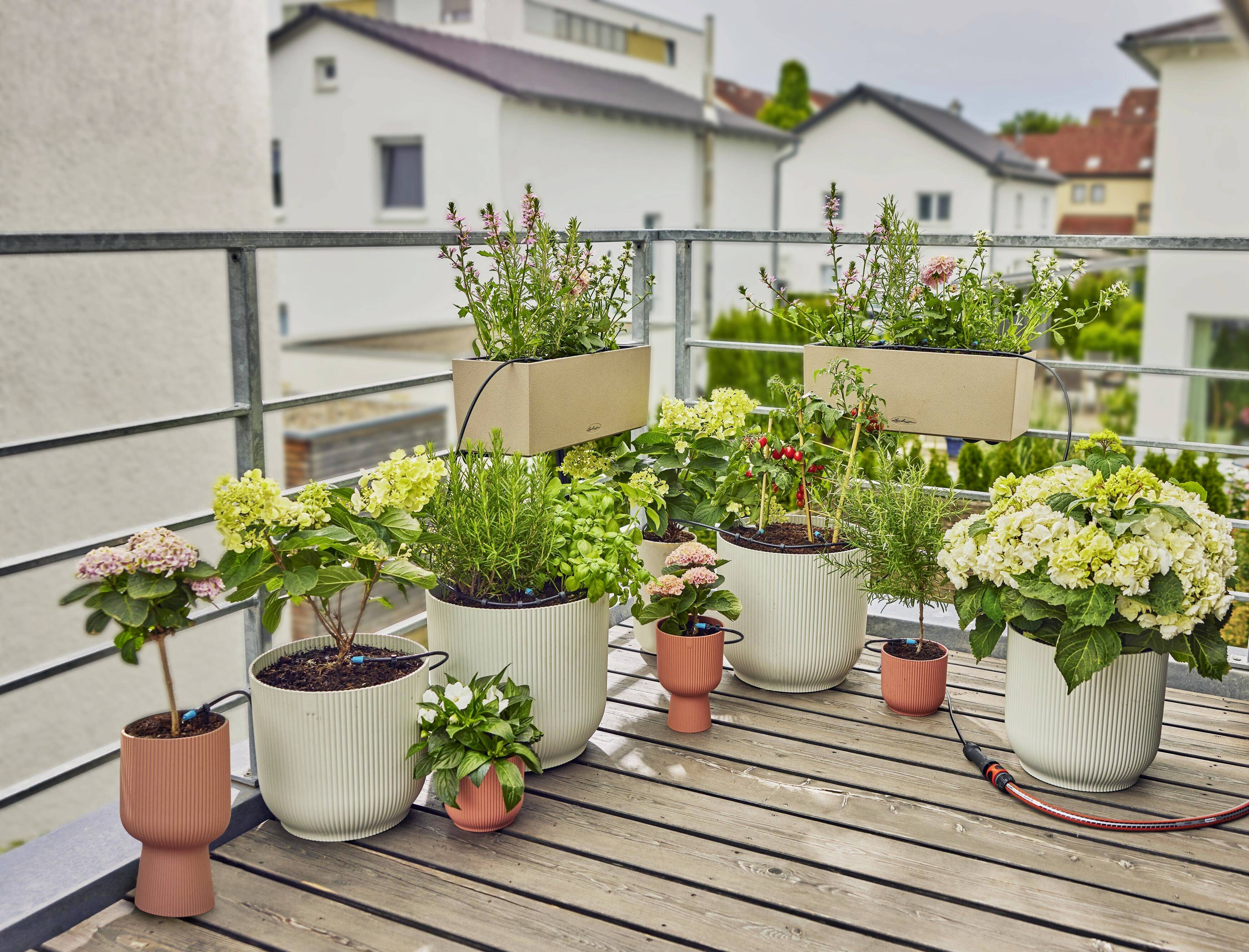 Des plantes et des fleurs dans des pots modernes sur un balcon en bois extérieur, entourées de maisons d'habitation, sous un ciel légèrement nuageux.