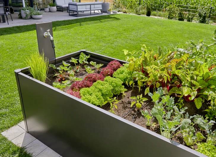Un potager surélevé avec un cadre en métal contient des légumes verts, des herbes et des légumes. Un robinet est installé à proximité pour un arrosage facile.
