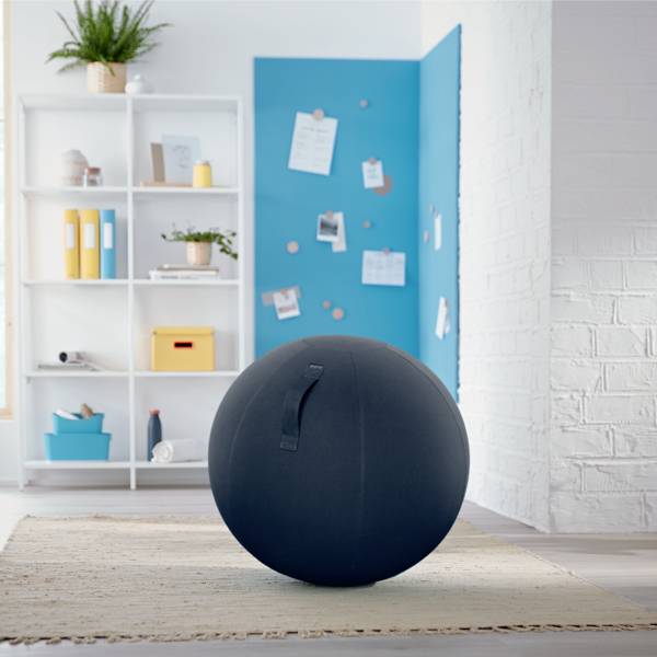 Un espace lumineux et moderne avec un ballon de sitting noir au premier plan. À l'arrière-plan, une étagère garnie de plantes et de livres.