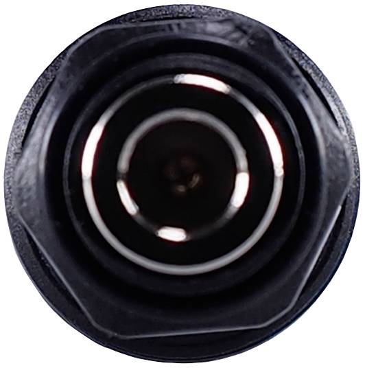 Jumo Électrode combinée 00442632 1 pc(s)