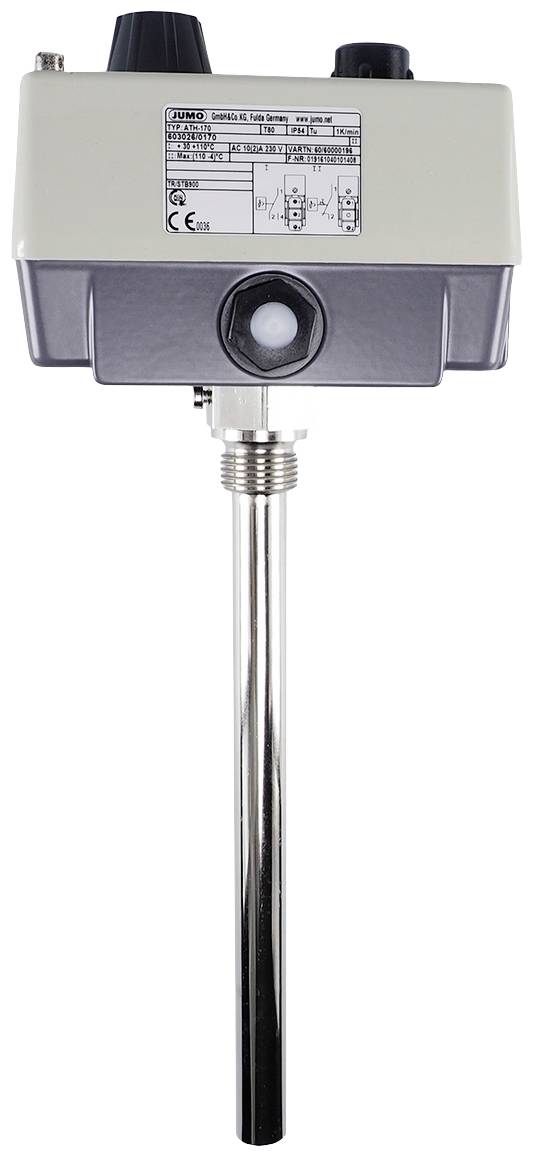 Jumo 60000196 Double thermostat