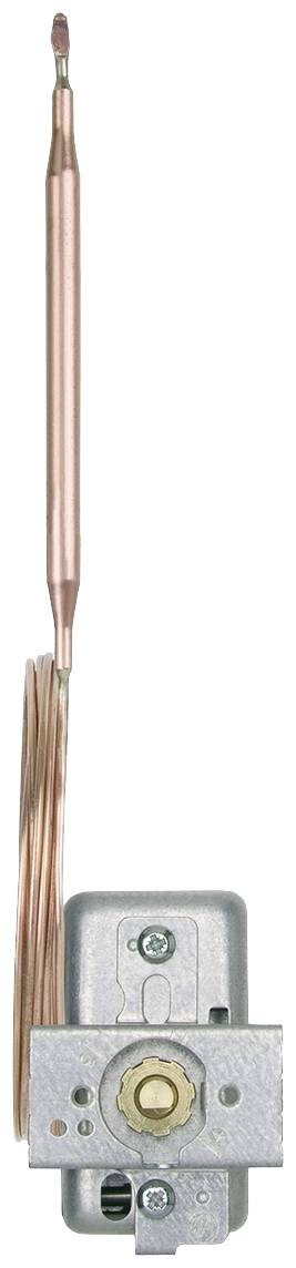 Jumo Régulateur de température